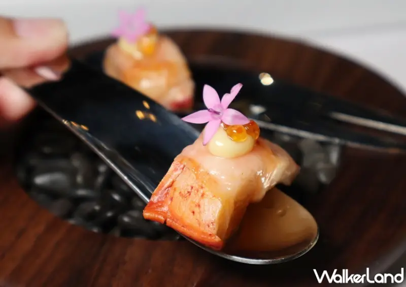 DNA西班牙料理 / WalkerLand窩客島提供 未經許可，不得轉載