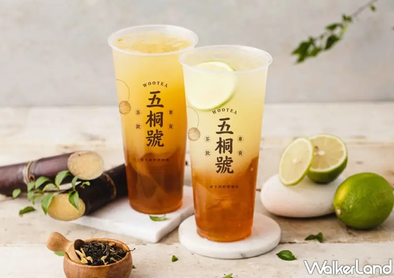 五桐號 夏季新品 / WalkerLand窩客島整理提供 未經許可，不得轉載