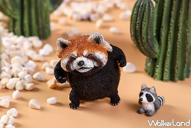 朝隈俊男  / WalkerLand窩客島提供 未經許可，不得轉載