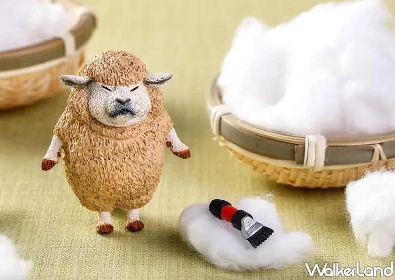 朝隈俊男  / WalkerLand窩客島提供 未經許可，不得轉載