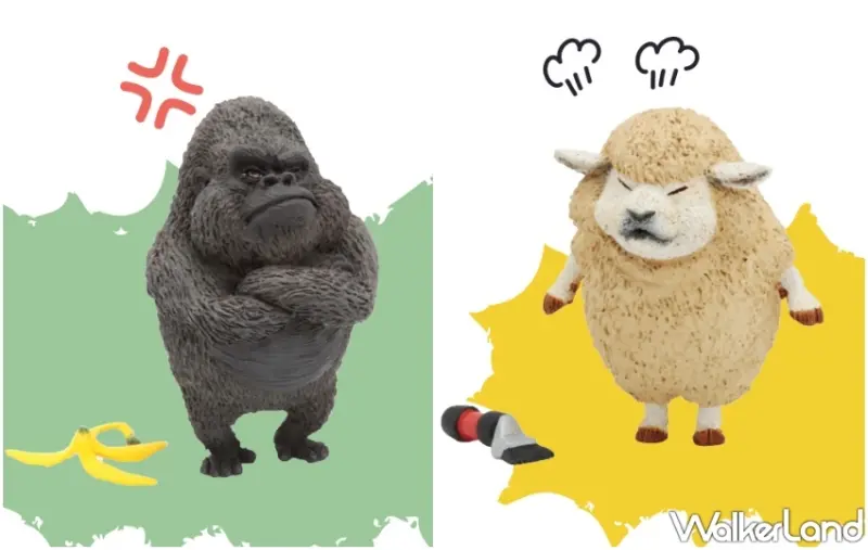 朝隈俊男  / WalkerLand窩客島提供 未經許可，不得轉載