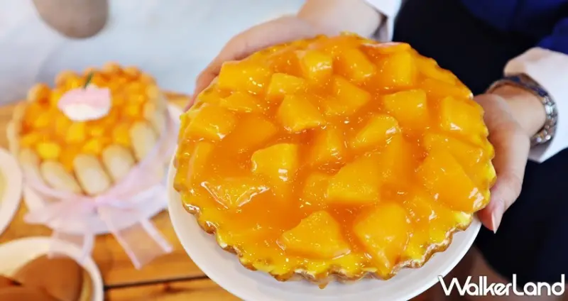 亞尼克 / WalkerLand窩客島整理提供 未經許可，不得轉載