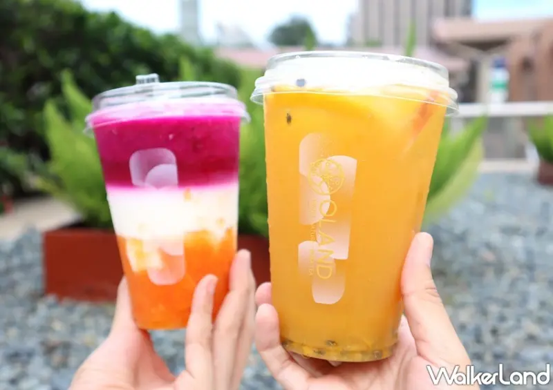 OLAND / WalkerLand窩客島提供 未經許可，不得轉載