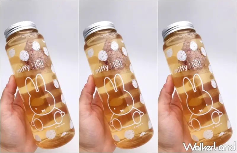 1011 SIPTEA x miffy聯名系列 / WalkerLand窩客島整理提供 未經許可，不得轉載