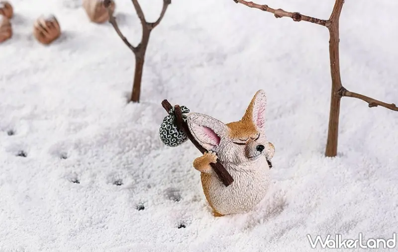 朝隈俊男  / WalkerLand窩客島提供 未經許可，不得轉載