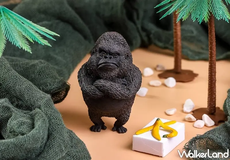 朝隈俊男  / WalkerLand窩客島提供 未經許可，不得轉載