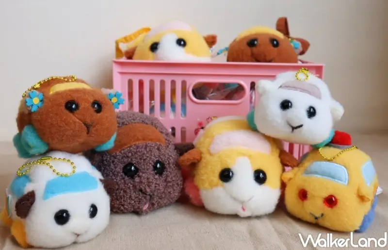 KHTOY 天竺鼠車車絨毛系列 / WalkerLand窩客島提供 未經許可，不得轉載