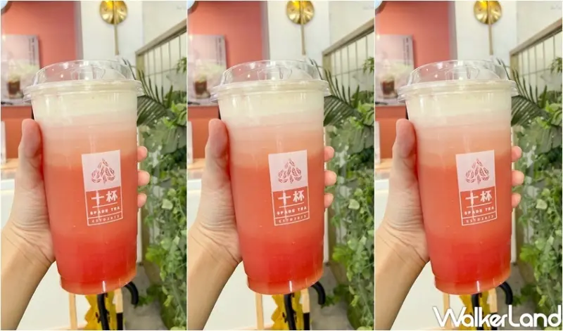 十杯Spade Tea 綠蓋瓜瓜 / WalkerLand窩客島整理提供 未經許可，不得轉載