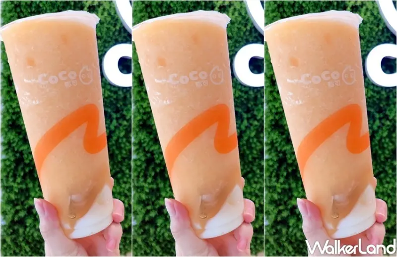 CoCo 戀夏哈密瓜 / WalkerLand窩客島整理提供 未經許可，不得轉載