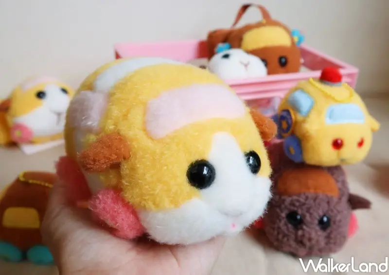 KHTOY 天竺鼠車車絨毛系列 / WalkerLand窩客島提供 未經許可，不得轉載