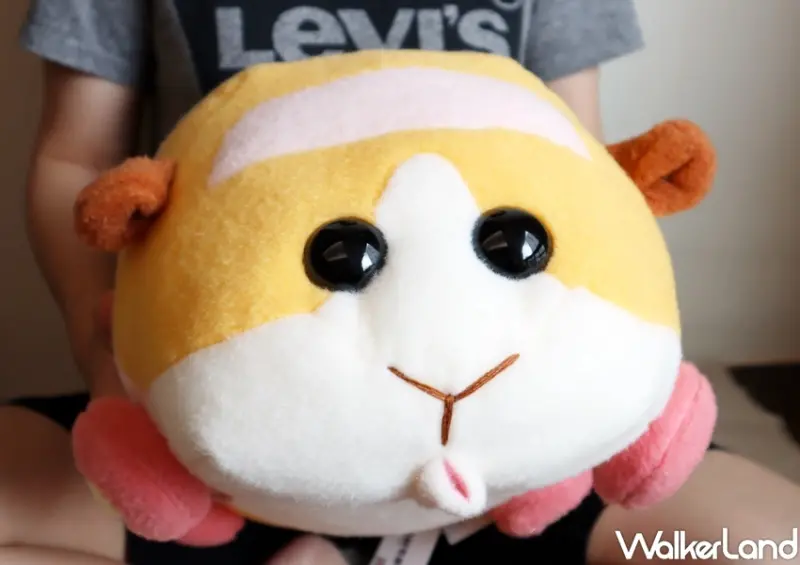 KHTOY 天竺鼠車車絨毛系列 / WalkerLand窩客島提供 未經許可，不得轉載