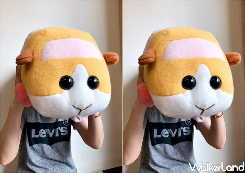 KHTOY 天竺鼠車車絨毛系列 / WalkerLand窩客島提供 未經許可，不得轉載