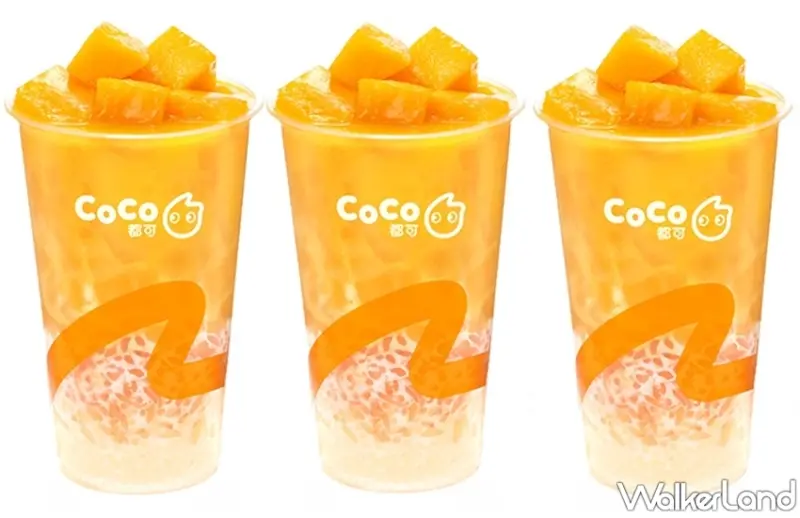 CoCo 新品 / WalkerLand窩客島整理提供 未經許可，不得轉載