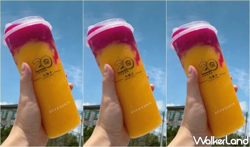 大苑子 / WalkerLand窩客島整理提供 未經許可，不得轉載