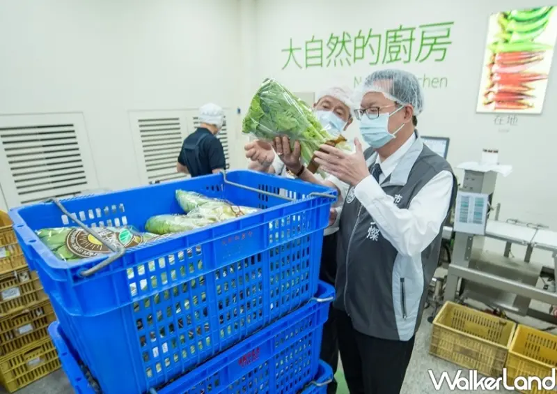 桃園農會「有機蔬菜箱」 / WalkerLand窩客島整理提供 未經許可不可轉載