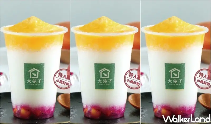 大苑子 許慶良戀戀芒果 / WalkerLand窩客島整理提供 未經許可，不得轉載