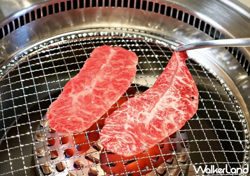 金車柏克金餐酒 防疫優惠 / WalkerLand窩客島整理提供 未經許可，不得轉載