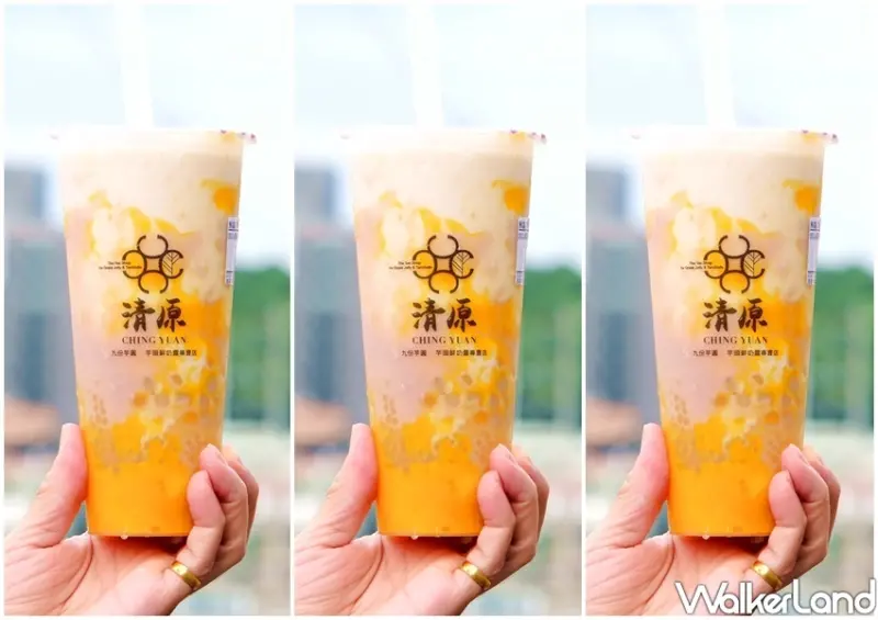 清原「楊枝芋露」 / WalkerLand窩客島整理提供 未經許可不可轉載