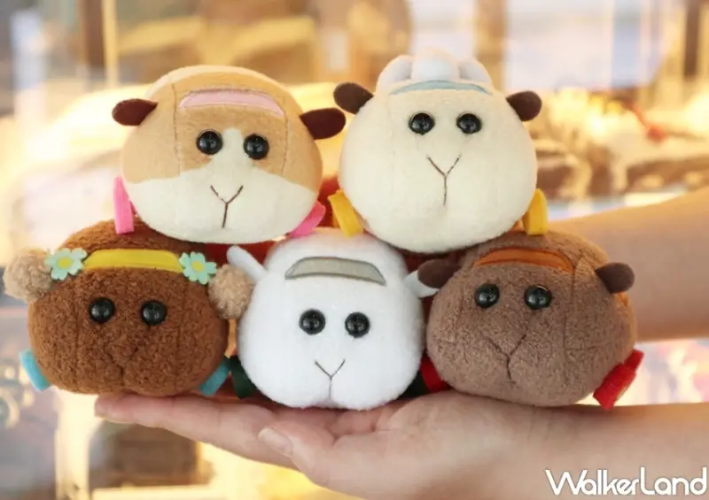 天竺鼠車車 / WalkerLand窩客島整理提供 未經許可，不得轉載