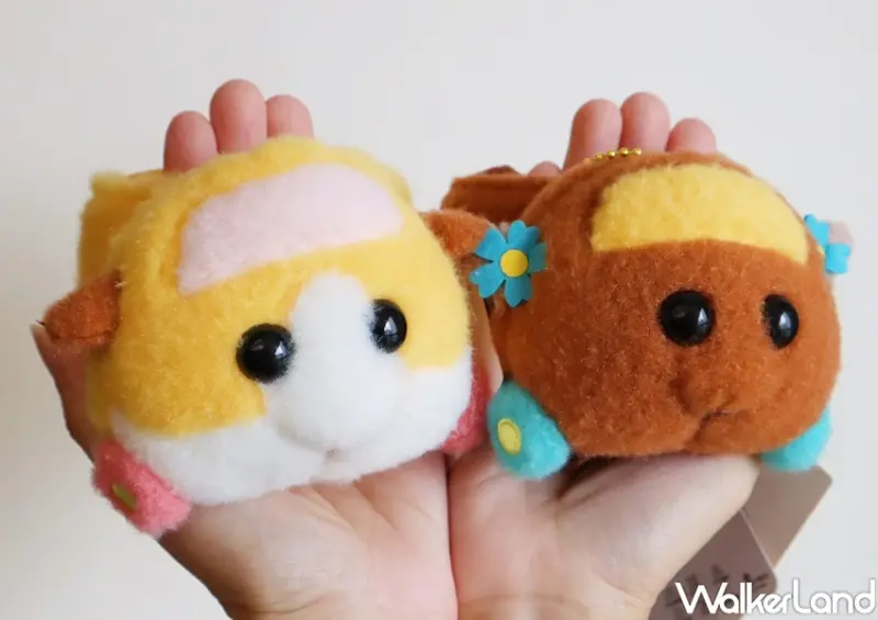 天竺鼠車車 / WalkerLand窩客島整理提供 未經許可，不得轉載