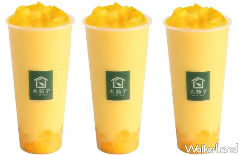 大苑子 APP限定買一送一優惠活動 / WalkerLand窩客島提供 未經許可，不得轉載