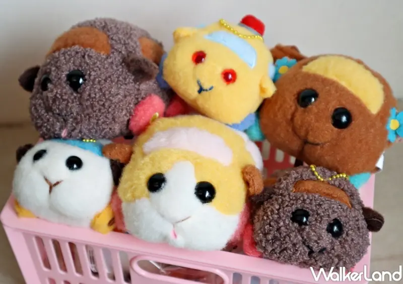 天竺鼠車車 / WalkerLand窩客島整理提供 未經許可，不得轉載