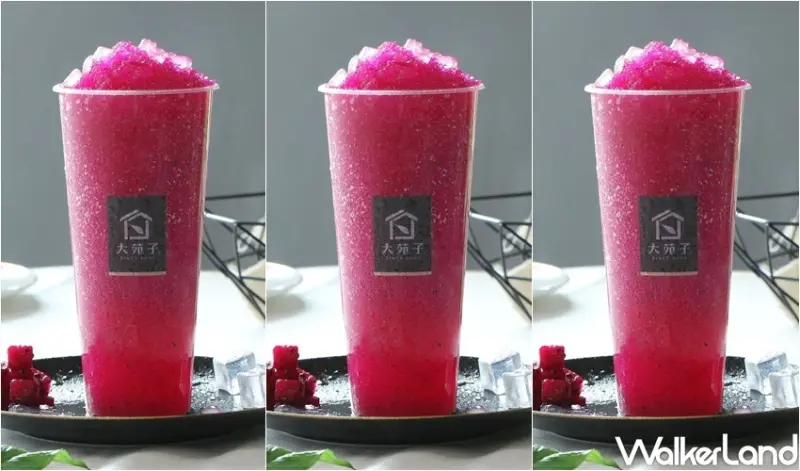 大苑子APP限定買一送一 / WalkerLand窩客島整理提供 未經許可，不得轉載