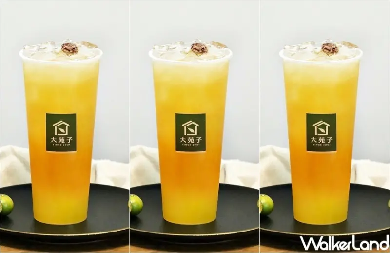 大苑子 鮮桔綠 / WalkerLand窩客島整理提供 未經許可，不得轉載