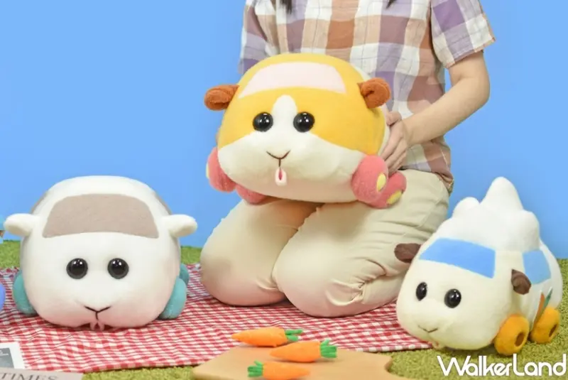 天竺鼠車車 / WalkerLand窩客島整理提供 未經許可，不得轉載