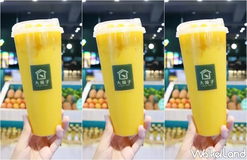 大苑子 APP限定買一送一優惠活動 / WalkerLand窩客島提供 未經許可，不得轉載