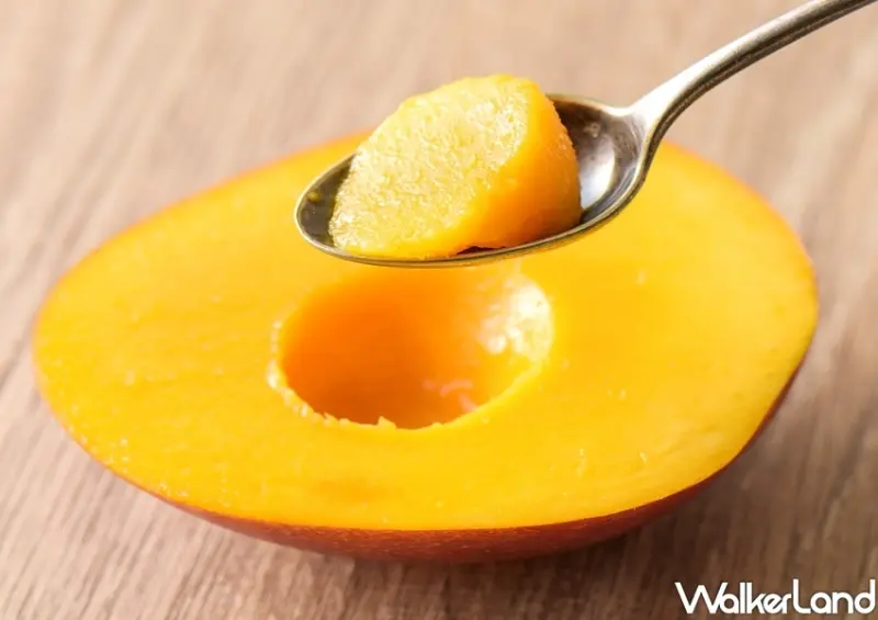 麻古茶坊「仲夏芒芒禮盒」 / WalkerLand窩客島整理提供 未經許可不可轉載