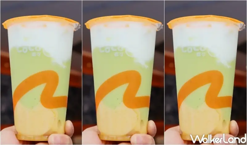 CoCo新品系列 / WalkerLand窩客島提供 未經許可，不得轉載