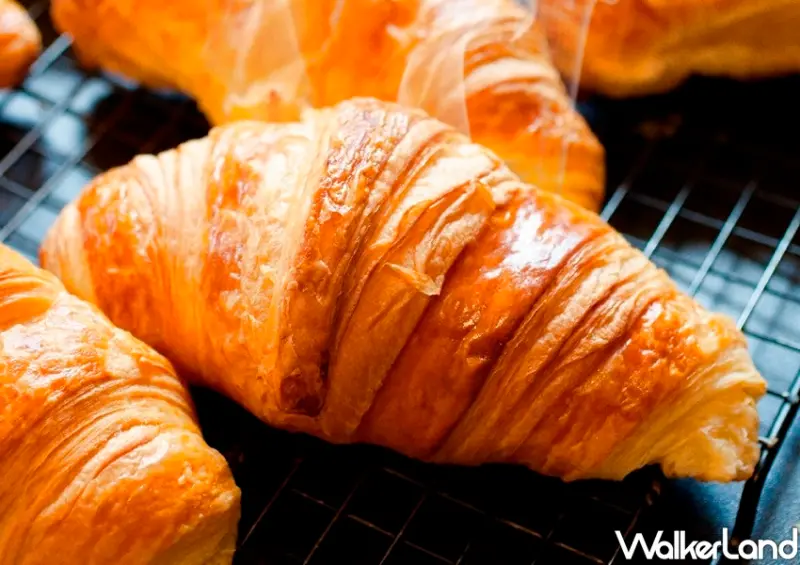 八月堂可頌買一盒送一盒 / WalkerLand窩客島整理提供 未經許可不可轉載