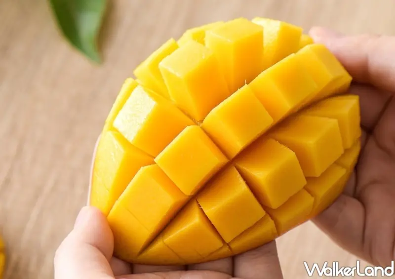 麻古茶坊「仲夏芒芒禮盒」 / WalkerLand窩客島整理提供 未經許可不可轉載