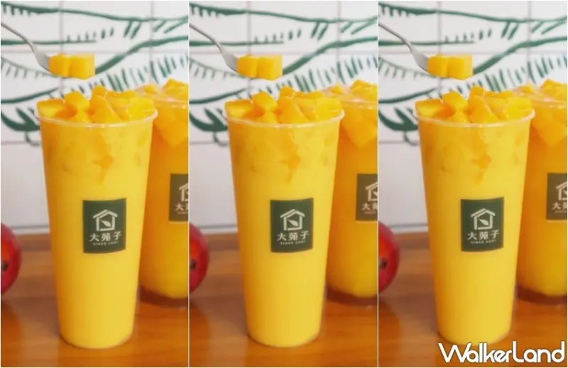 大苑子 APP限定買一送一優惠活動 / WalkerLand窩客島提供 未經許可，不得轉載