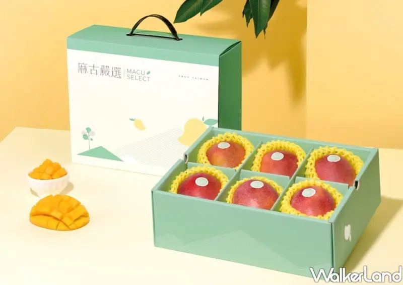 麻古茶坊「仲夏芒芒禮盒」 / WalkerLand窩客島整理提供 未經許可不可轉載