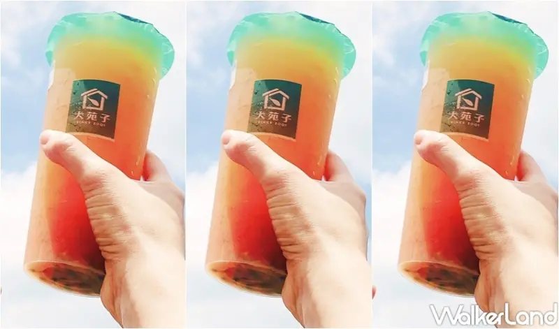 大苑子 柚見百香 / WalkerLand窩客島整理提供 未經許可，不得轉載