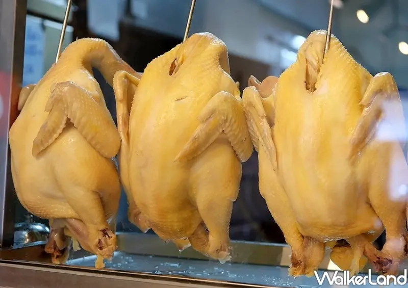 公館美食「金名號雞肉飯」 / WalkerLand窩客島整理提供 未經許可不可轉載