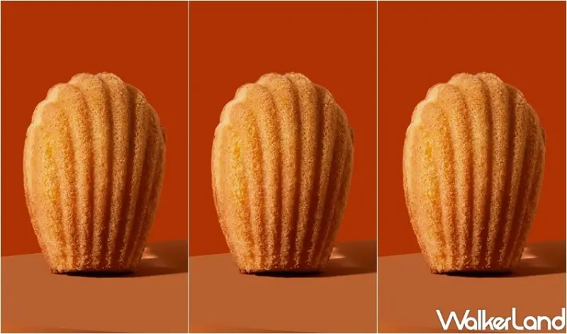 瑪德蓮專門品牌 open it / WalkerLand窩客島整理提供 未經許可，不得轉載