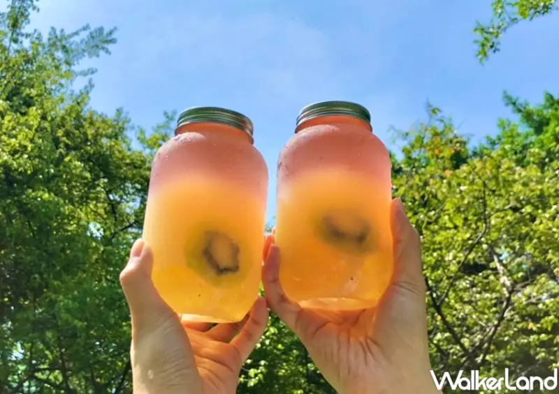 CoCo奇異森林 / WalkerLand窩客島整理提供 未經許可，不得轉載