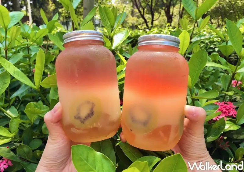 CoCo奇異森林 / WalkerLand窩客島整理提供 未經許可，不得轉載