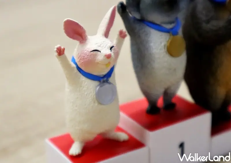 朝隈俊男「動物頒獎台」系列 / WalkerLand窩客島提供 未經許可，不得轉載