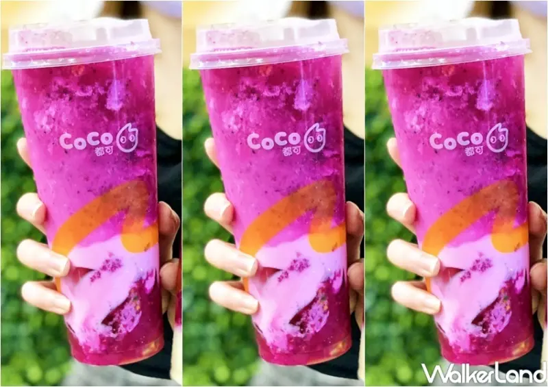CoCo 紅果小姐飲品系列 / WalkerLand窩客島整理提供 未經許可，不得轉載