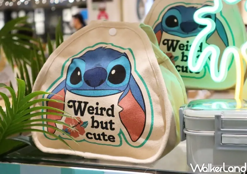 HOLA x史迪尼聯名系列 / WalkerLand窩客島提供 未經許可，不得轉載