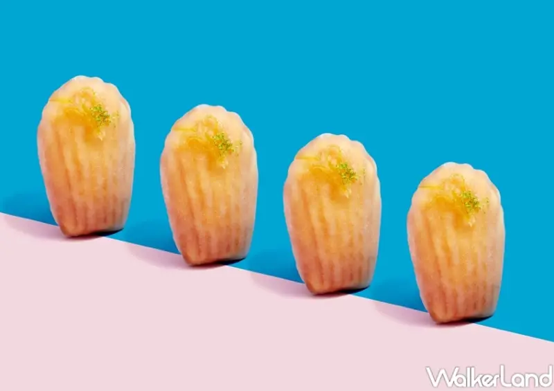 瑪德蓮專門品牌 open it / WalkerLand窩客島整理提供 未經許可，不得轉載