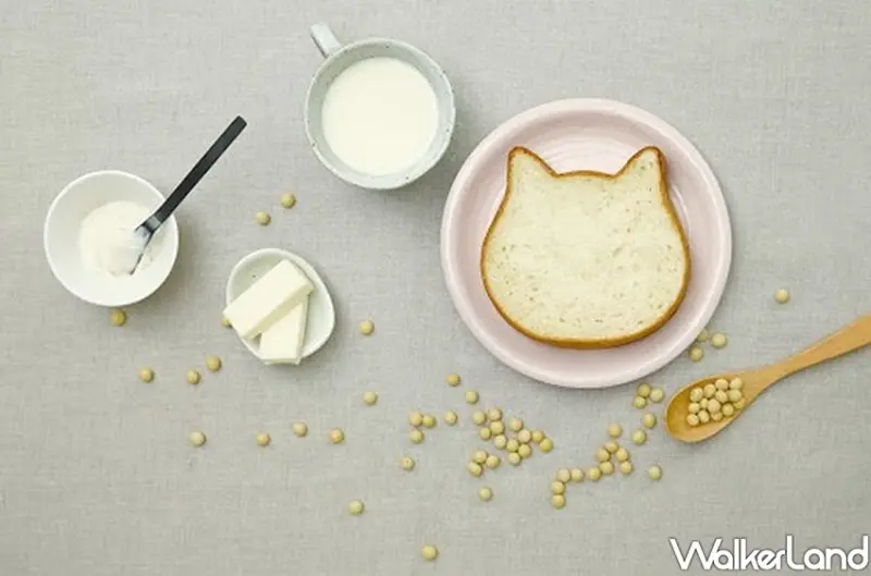貓咪吐司「NEKO NEKO SHOKUPAN」 / WalkerLand窩客島整理提供 未經許可不可轉載