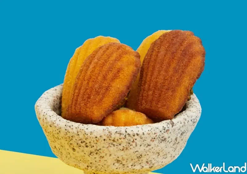 瑪德蓮專門品牌 open it / WalkerLand窩客島整理提供 未經許可，不得轉載