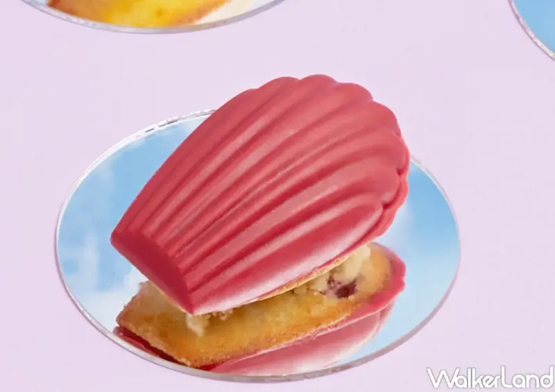 瑪德蓮專門品牌 open it / WalkerLand窩客島整理提供 未經許可，不得轉載