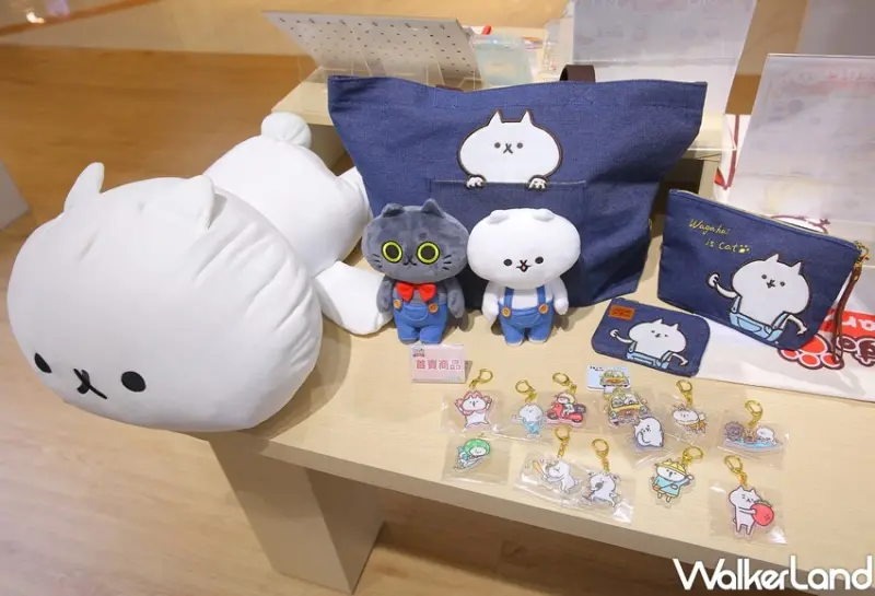 反應過激的貓五周年期間限定店 / WalkerLand窩客島整理提供 未經許可，不得轉載