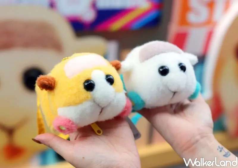 天竺鼠車車限定快閃店 / WalkerLand窩客島提供 未經許可，不得轉載